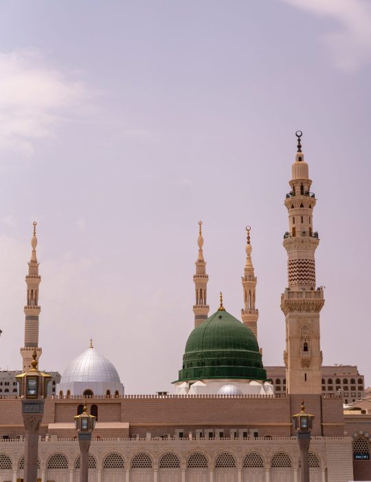 pexels-yasir-gürbüz-12593614